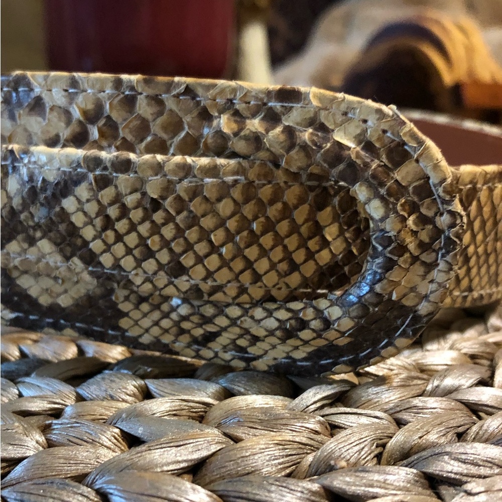 Vintage Jana Python Belt in Size Medium